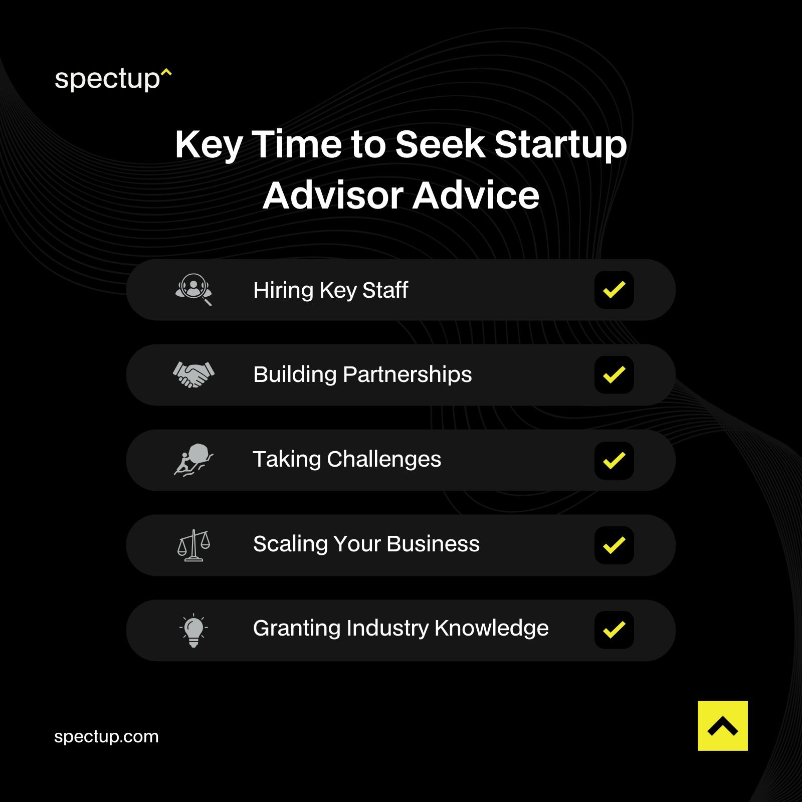 Infographic: Key Time to Seed Startup Advisor Advice