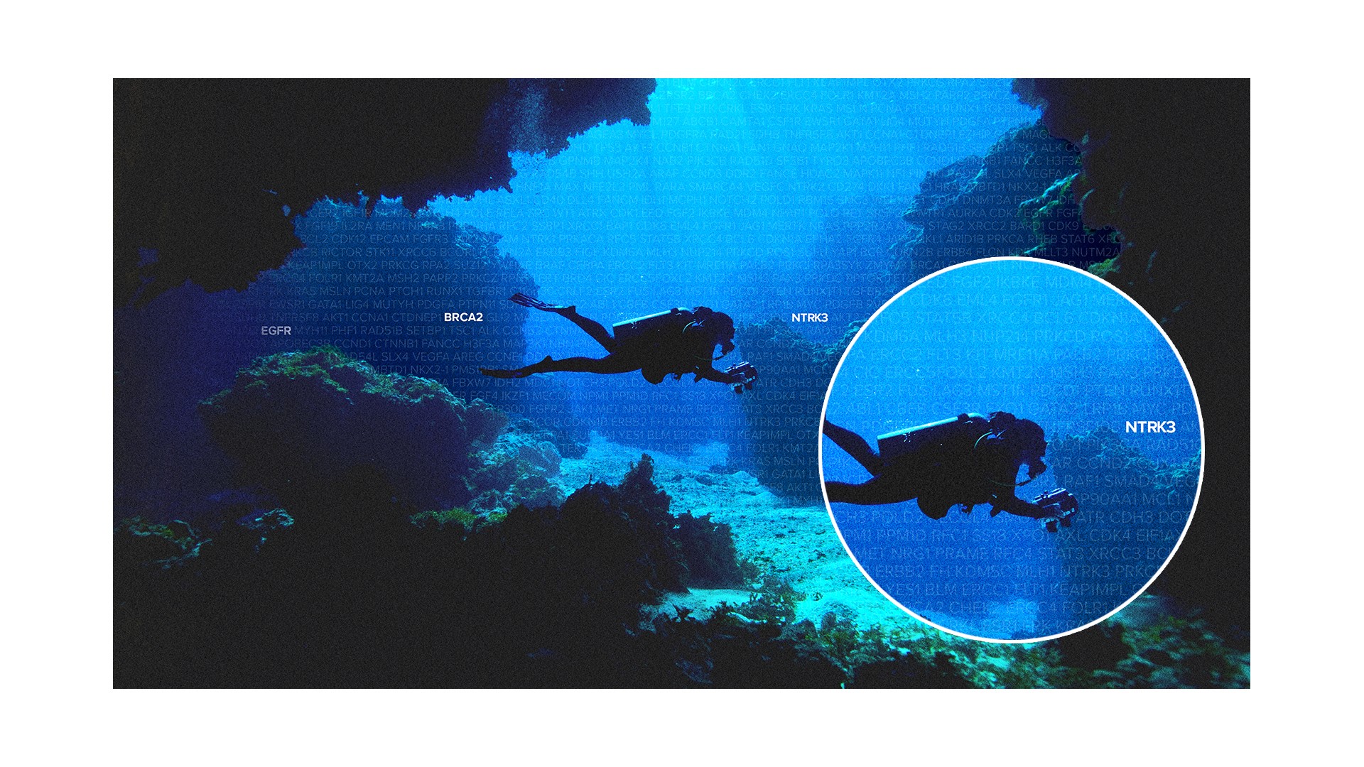 PRSN Creative Concept