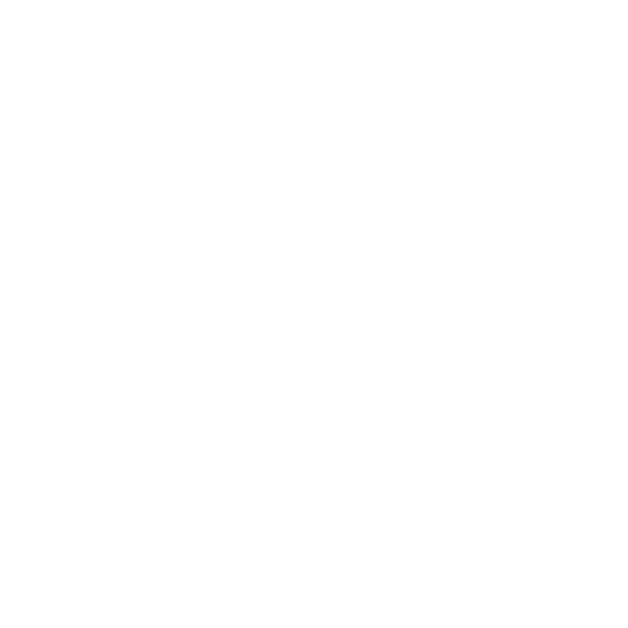 MR Diy White Logo