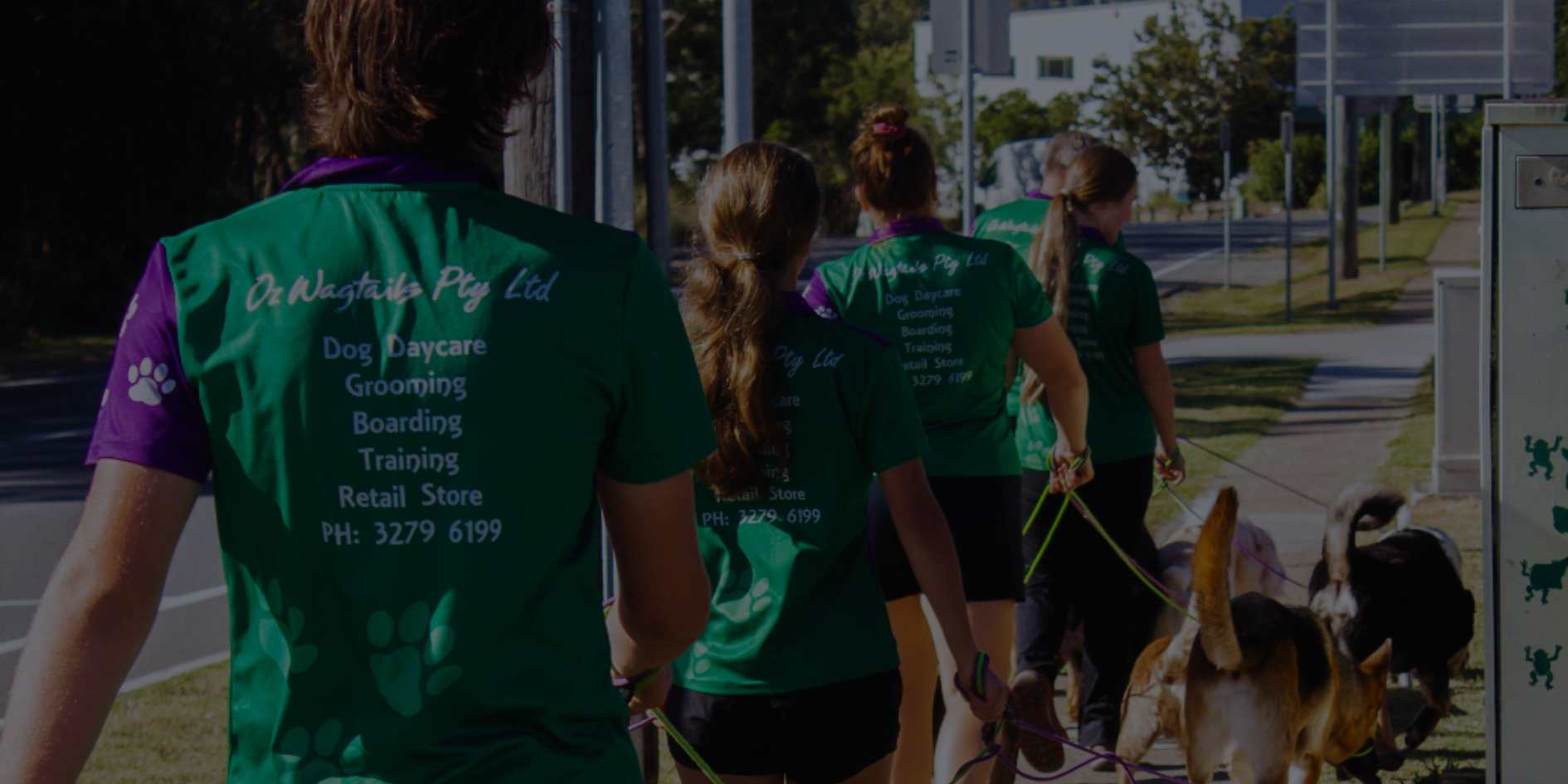 Hero image of beauty products