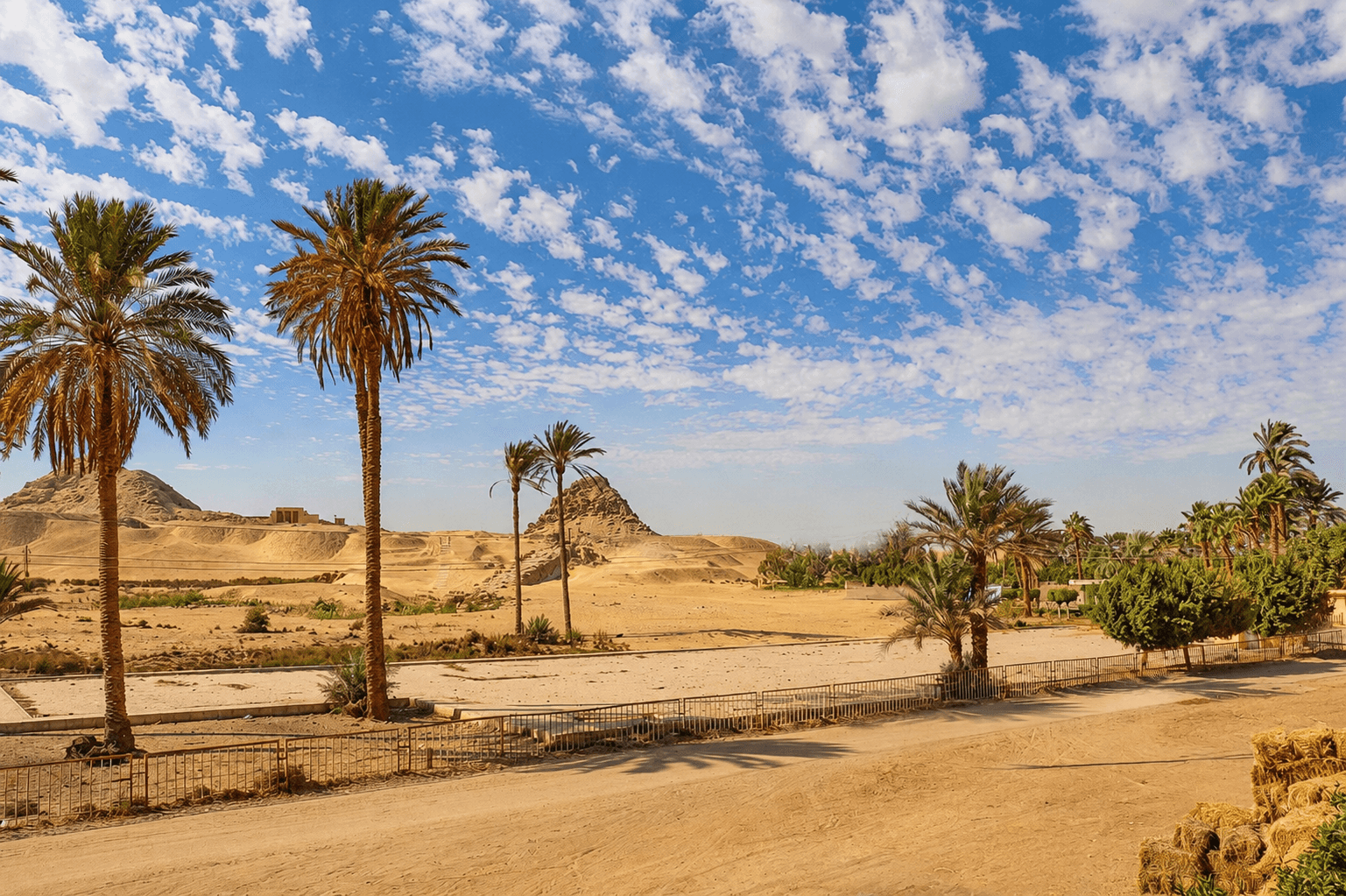Desert and surrounding nature