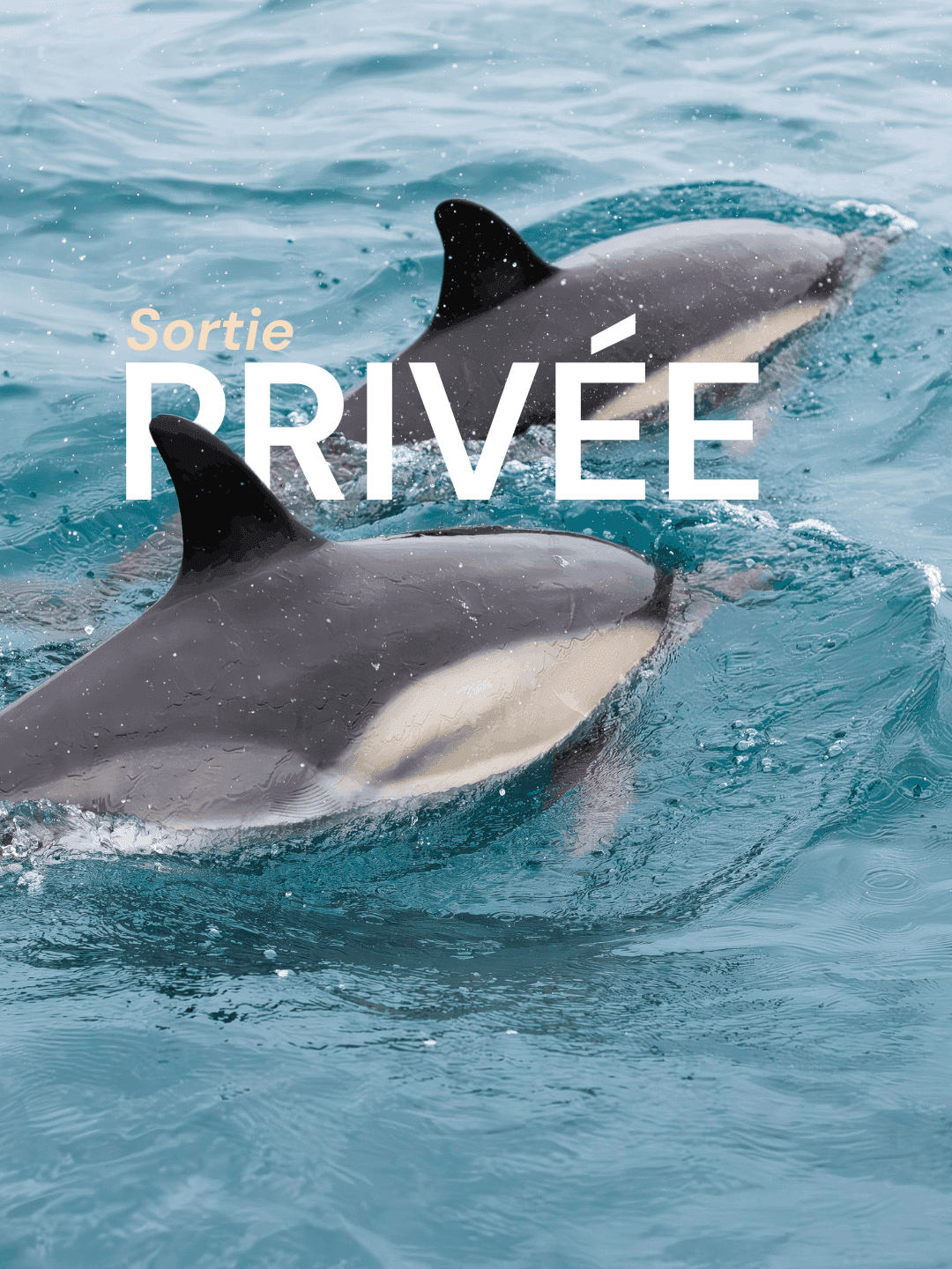 sortie privée réservation bateau arcachon ou cap ferret