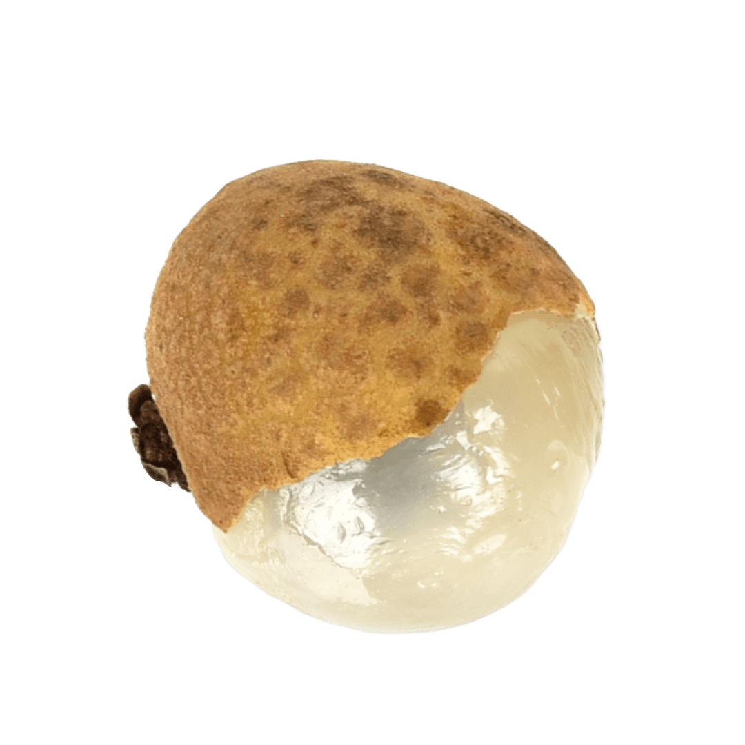 ลำไยทองอบแห้ง Golden Dried Longan