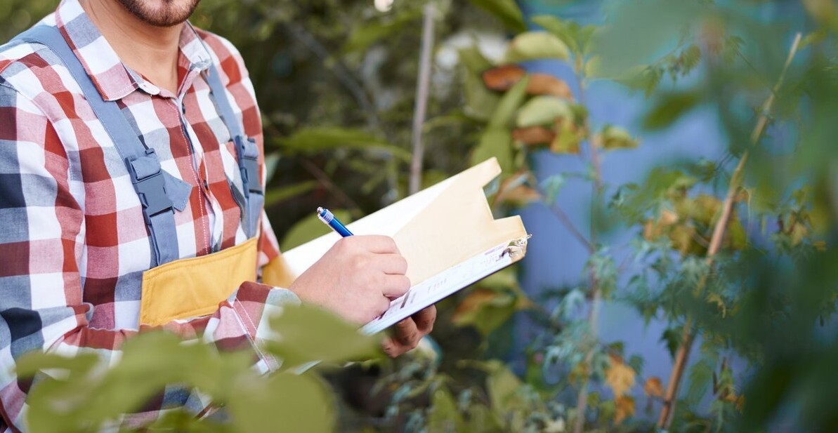 Personne prenant des notes dans un carnet tout en observant des plantes dans un jardin.