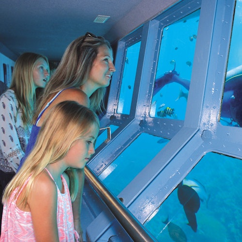 Three people, including two children, watch marine life through large windows in an underwater tunnel. Various fish and a shark are visible outside.