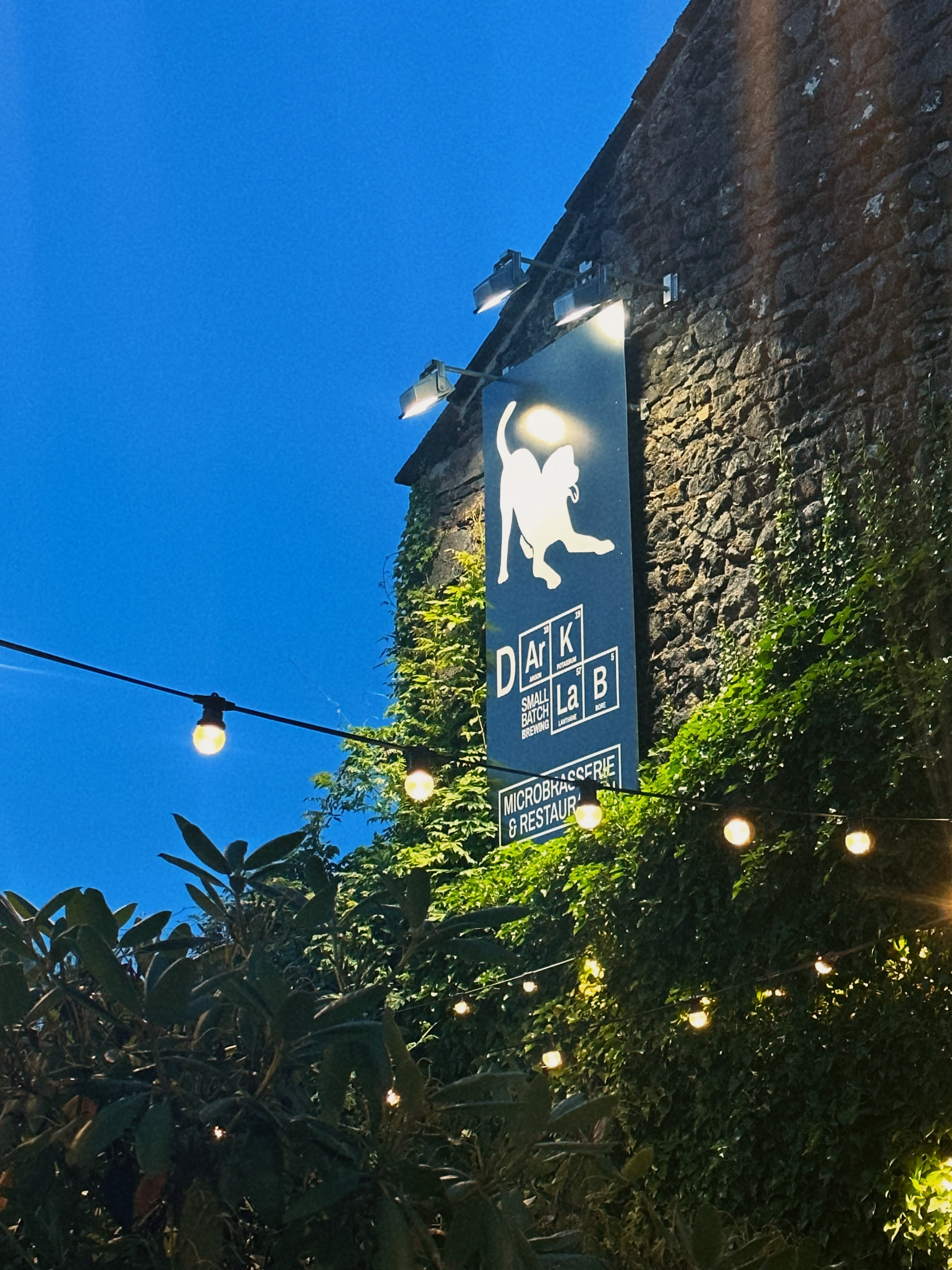 canettes dans la foret