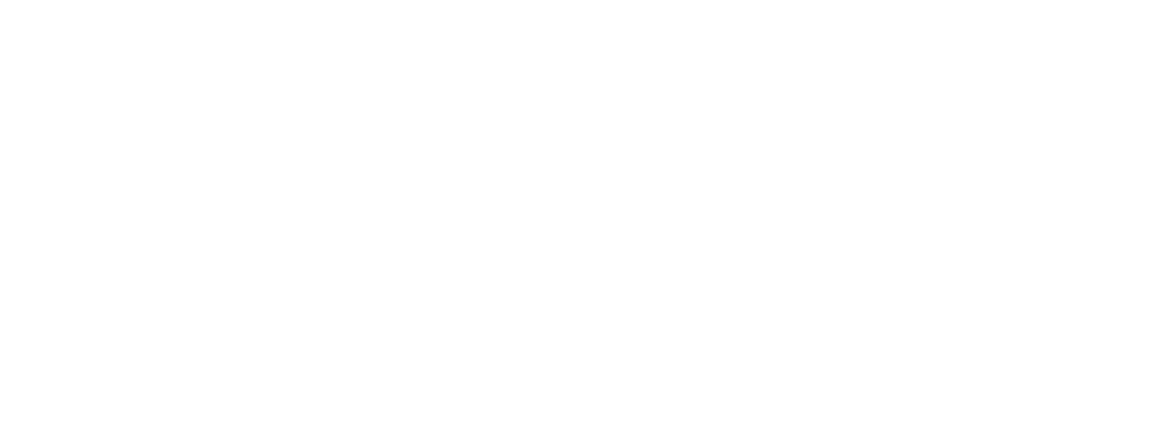 Safe4 logo