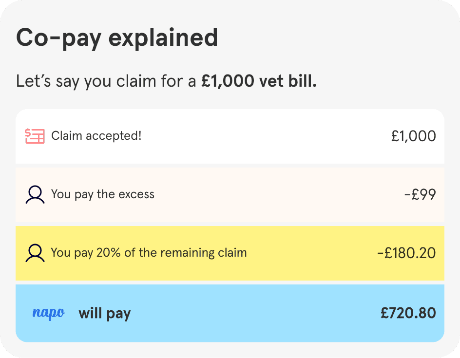 An example sum table showing how excess and co-pay are deducted from the claim payment.