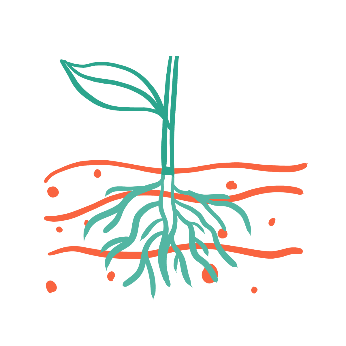Soil Fertility Illustration