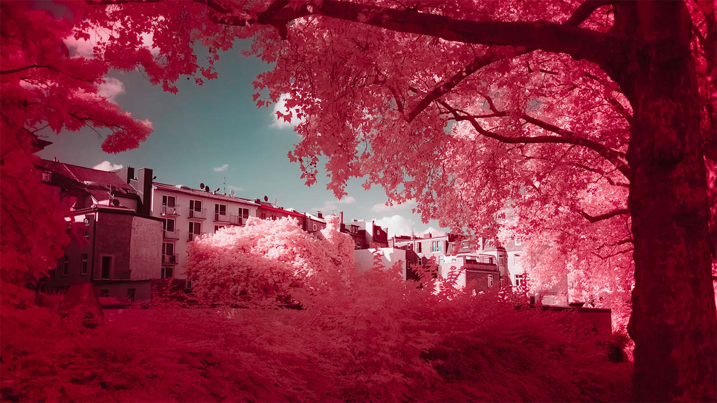 Infrared image of trees and buildings against the sky with foliage looking bright red