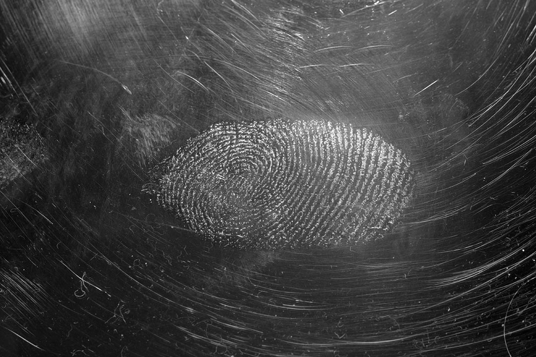 Product Traceability System: What & Why Brands Need It (2026 Guide)