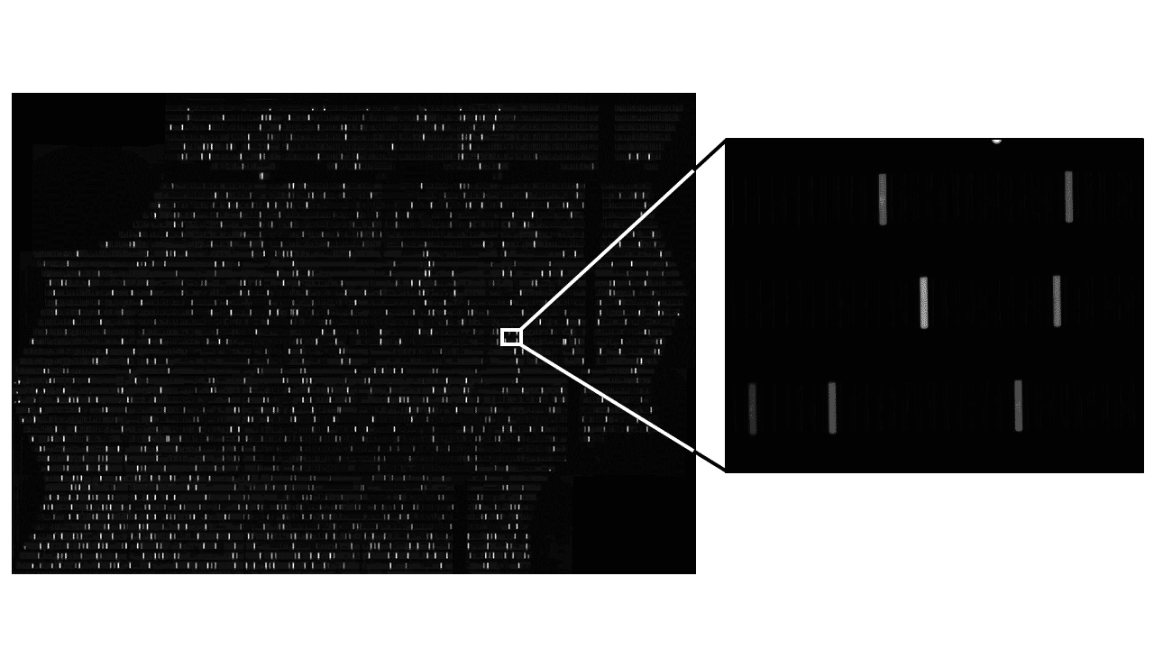 width=