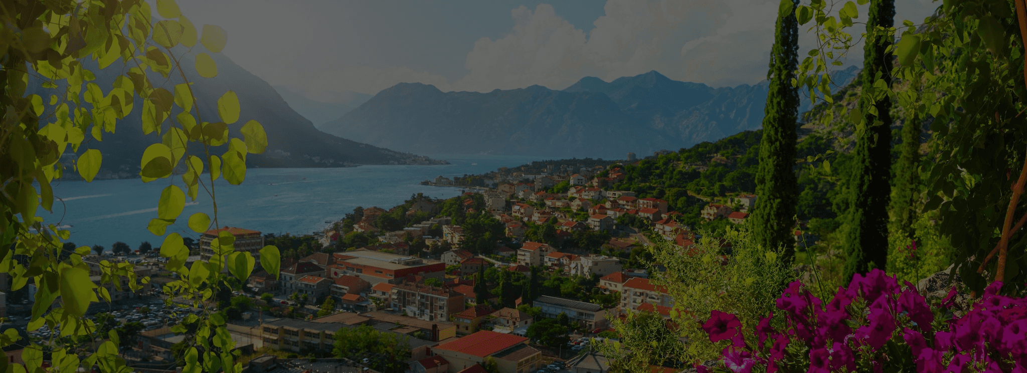 Real Estate House Image Background