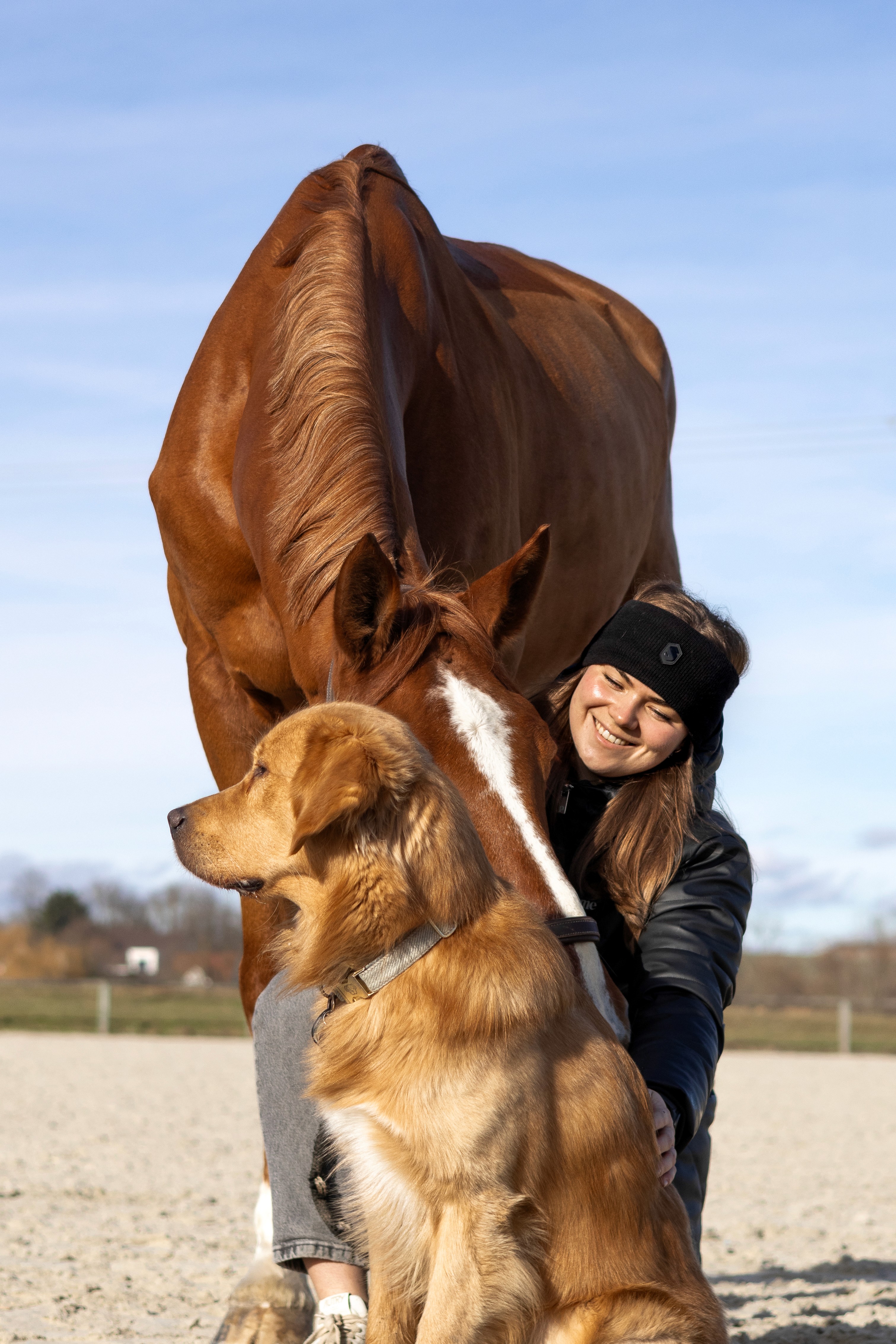 logo-cheval