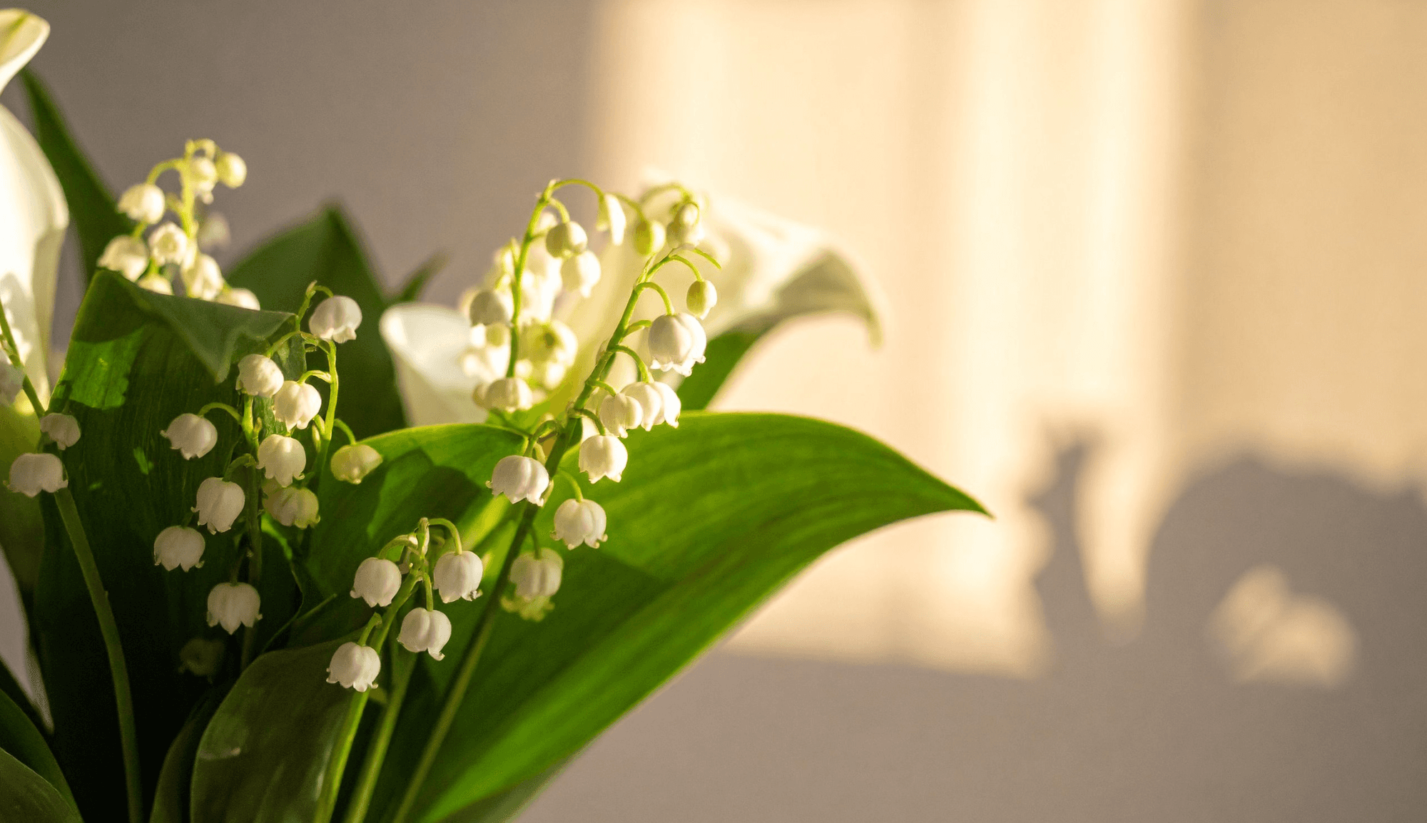 Blog posts
