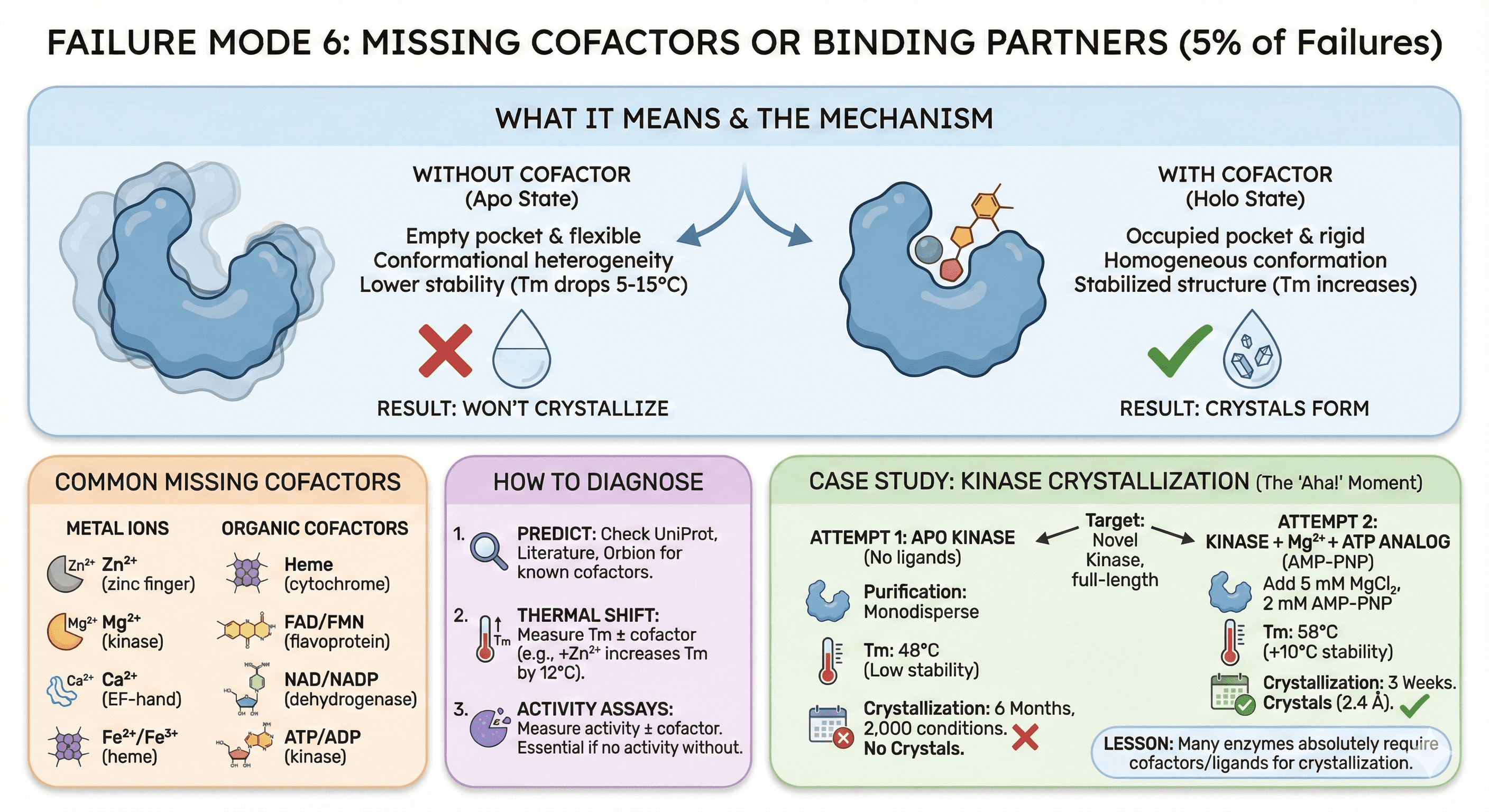 Diagram Showing The Affect of Missing Cofactors or Binding Partners on Protein Crystallization