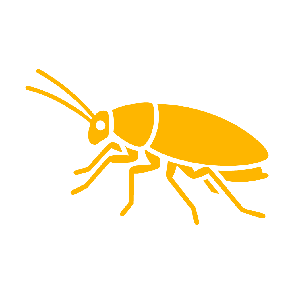 Feature Icon