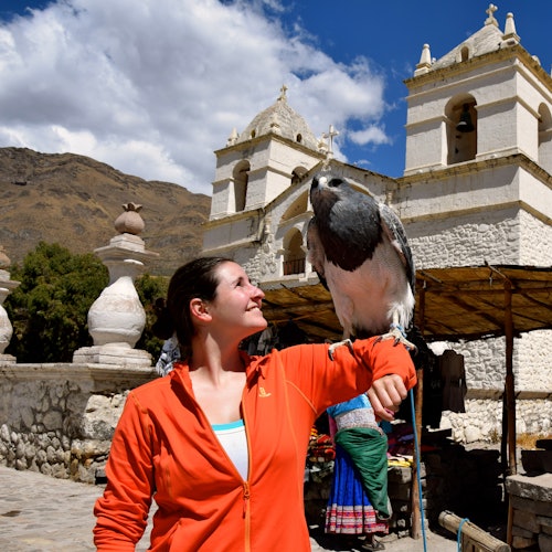 一個穿著橙色外套的人在一座有兩個鐘樓的白色石頭教堂前，注視著停在他們手臂上的一隻大鳥。