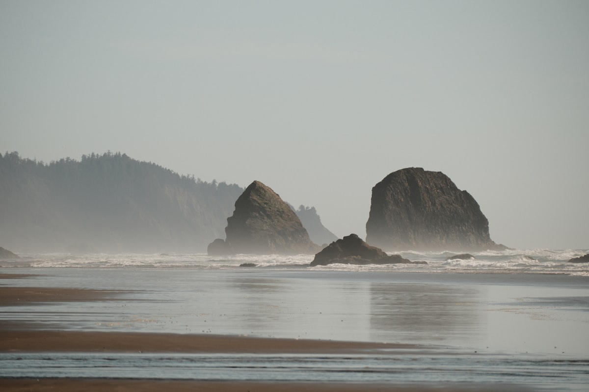 Sea stacks and driftwood on a foggy Oregon coast beach