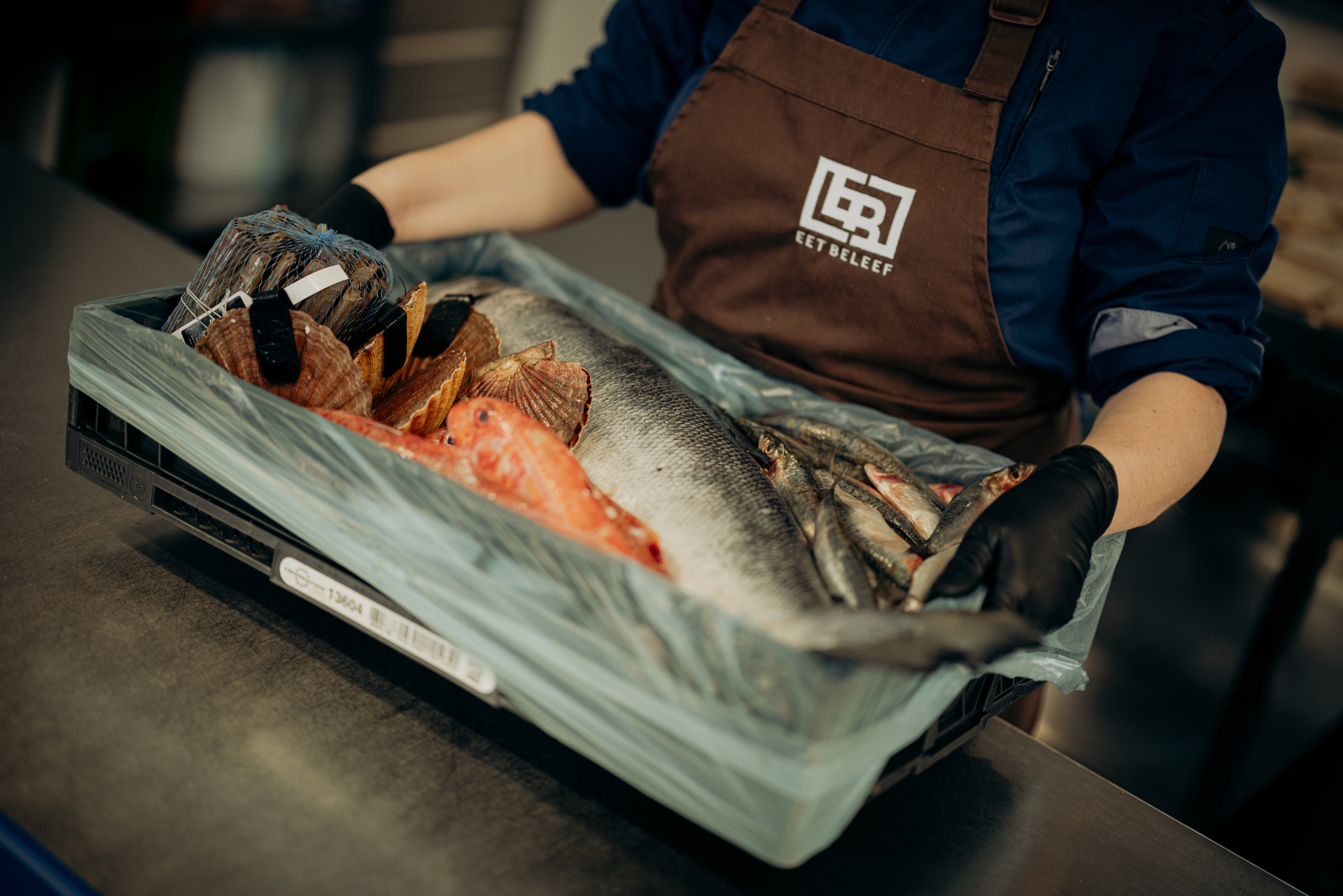 Here comes the alt text