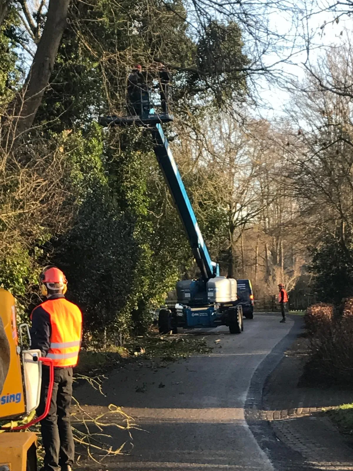 Boomverzorging langs weg met hoogwerker en medewerkers die takken veilig snoeien in Gorredijk