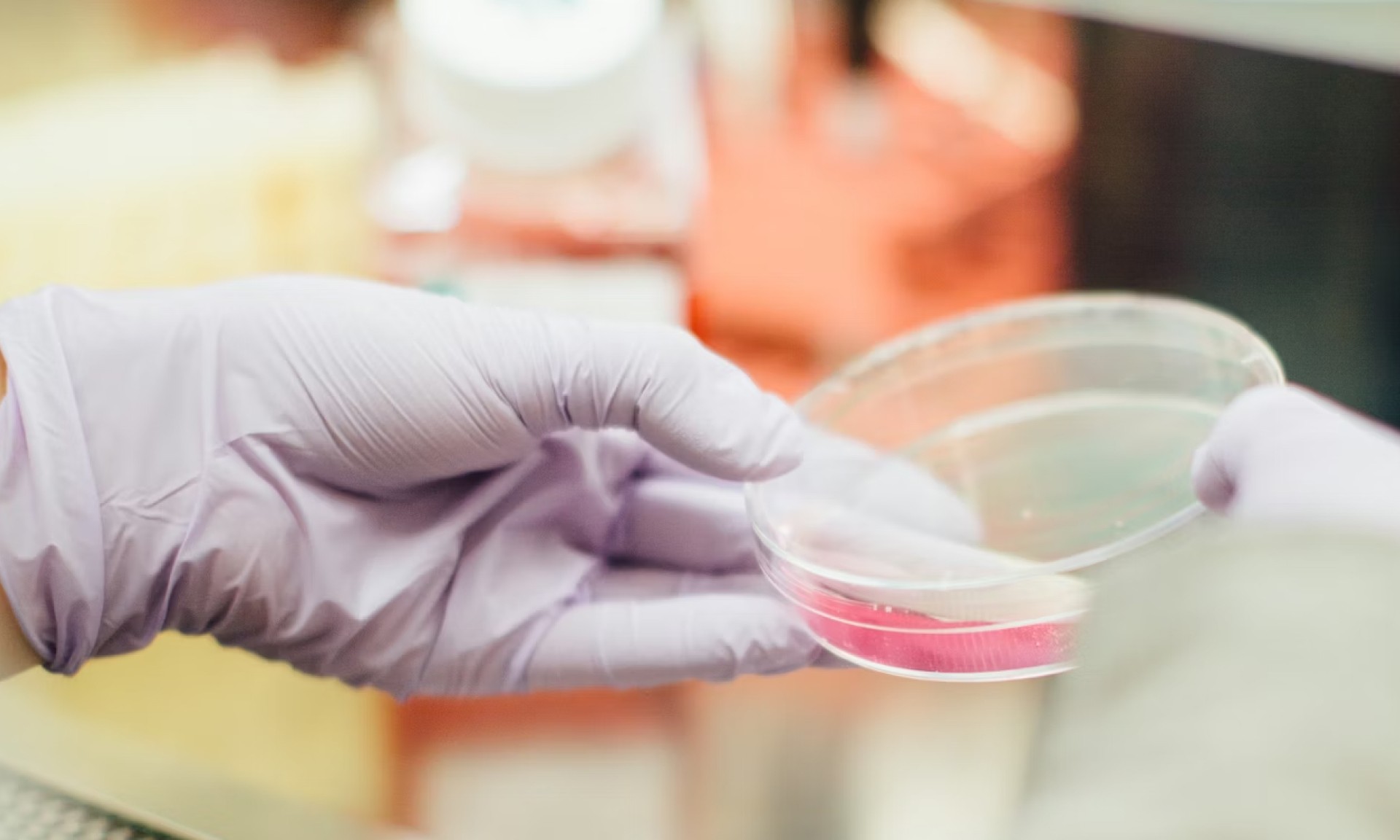 A photo of gloved hands holding a synthetic protein sample in a petri dish