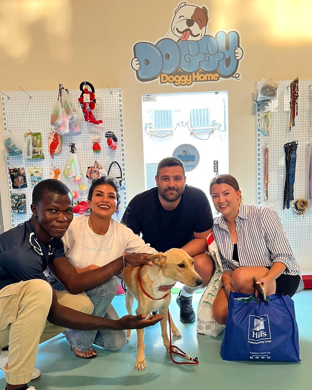 doggy doggy home dubai about our team