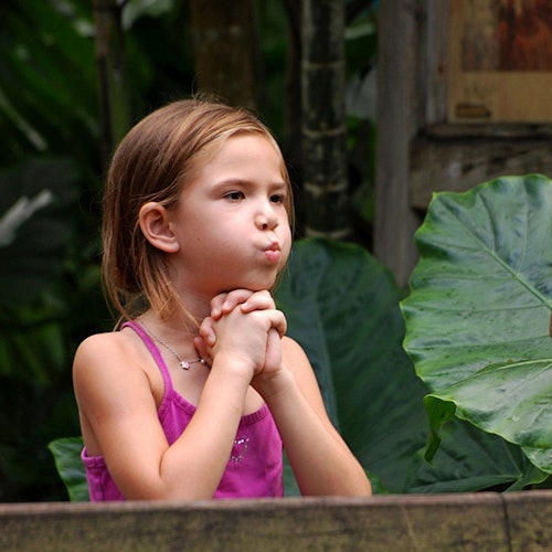 一个戴着粉红色上衣的小女孩，双手合十，脸颊微鼓，站在大型绿叶和树木的背景旁。
