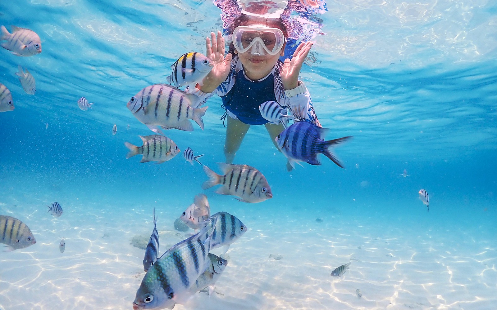 Snorkeler surrounded by colorful fish in Blue Lagoon, Bali.