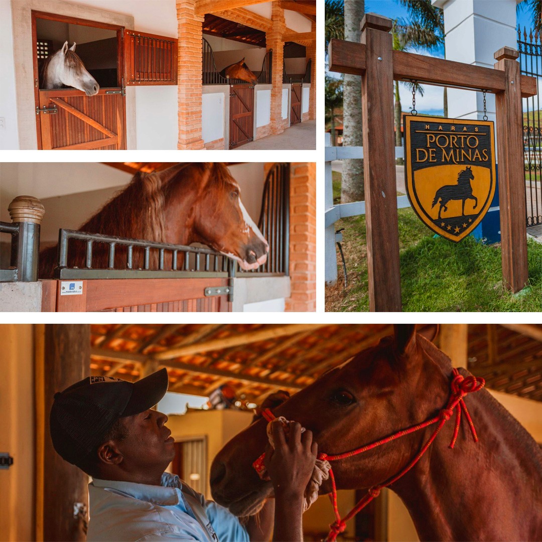 Arquitetura Equestre - Haras - Mader Silva
