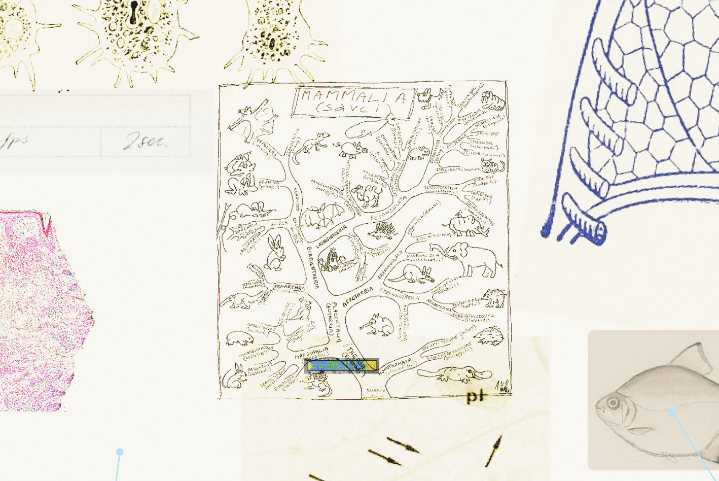 research collage