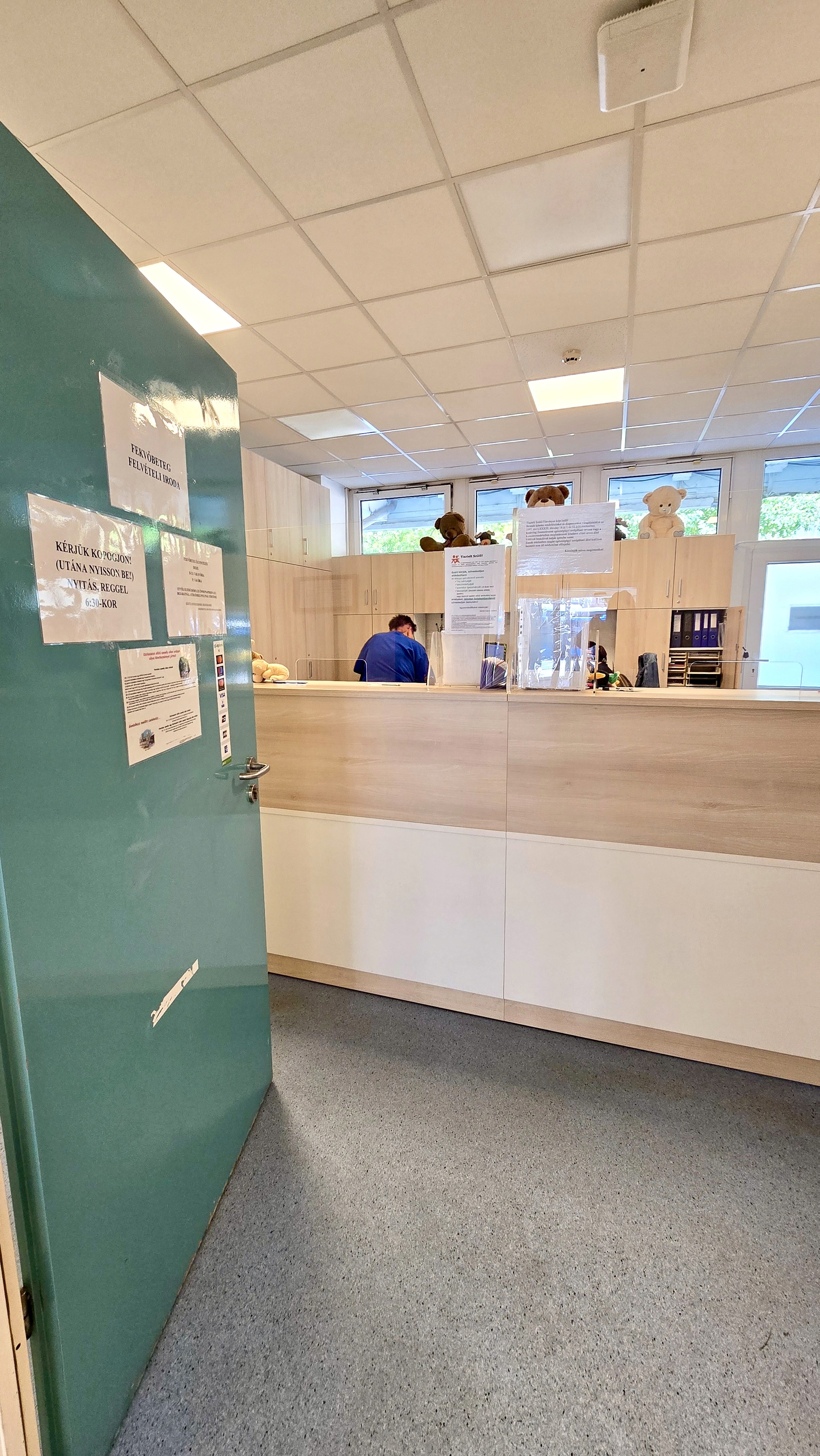 Nyitott zöld ajtó melett belátható szoba recepciós pulttal.