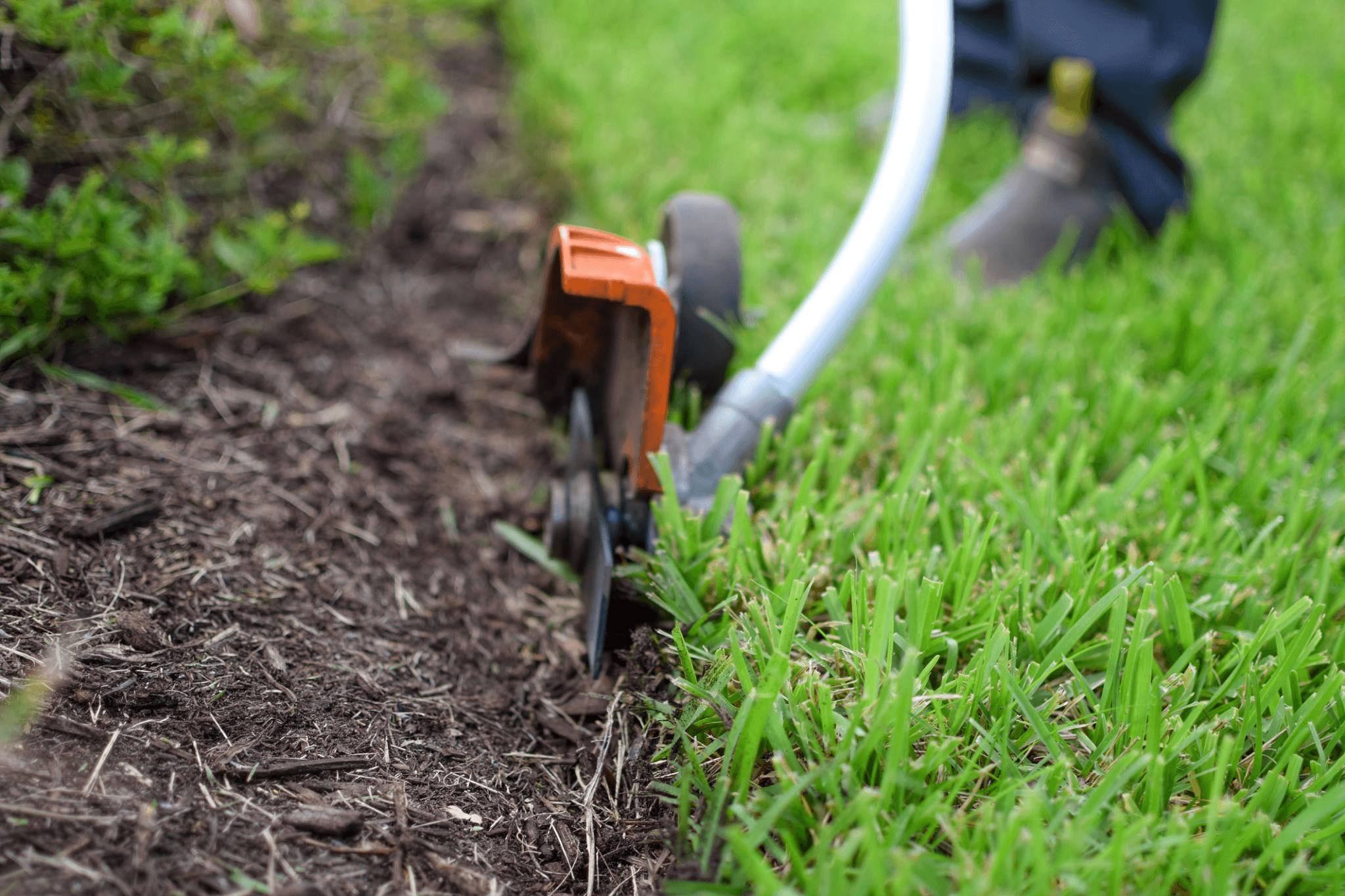 Garden Maintenance & Care