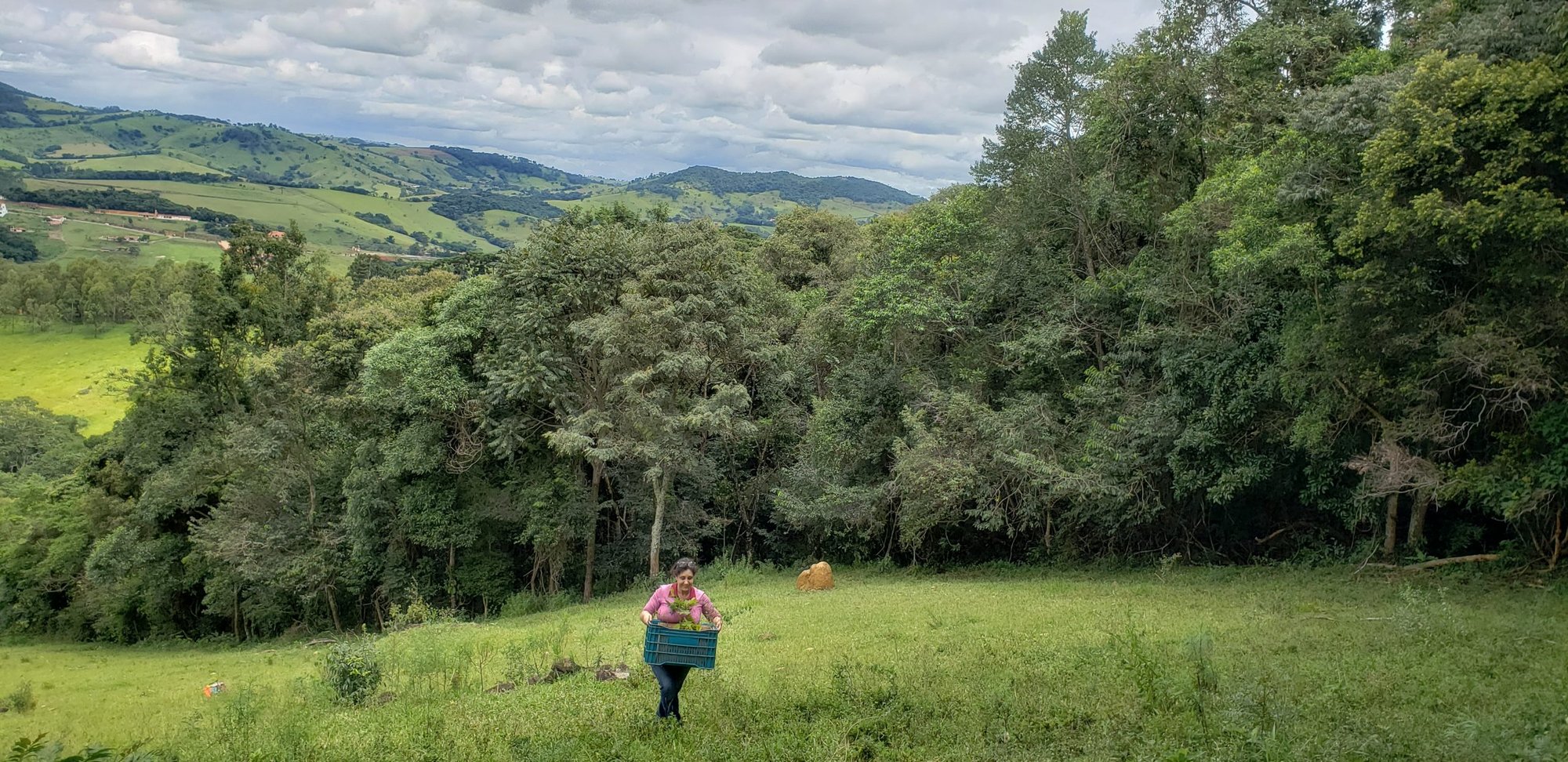 Pessoa em pasto verde diante de fragmento de mata nativa, com morros ao fundo, em área parceira