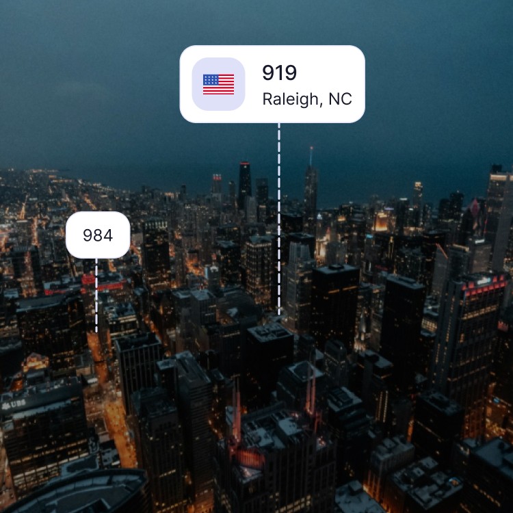 City skyline of Raleigh showing the 919 area code and surrounding area codes