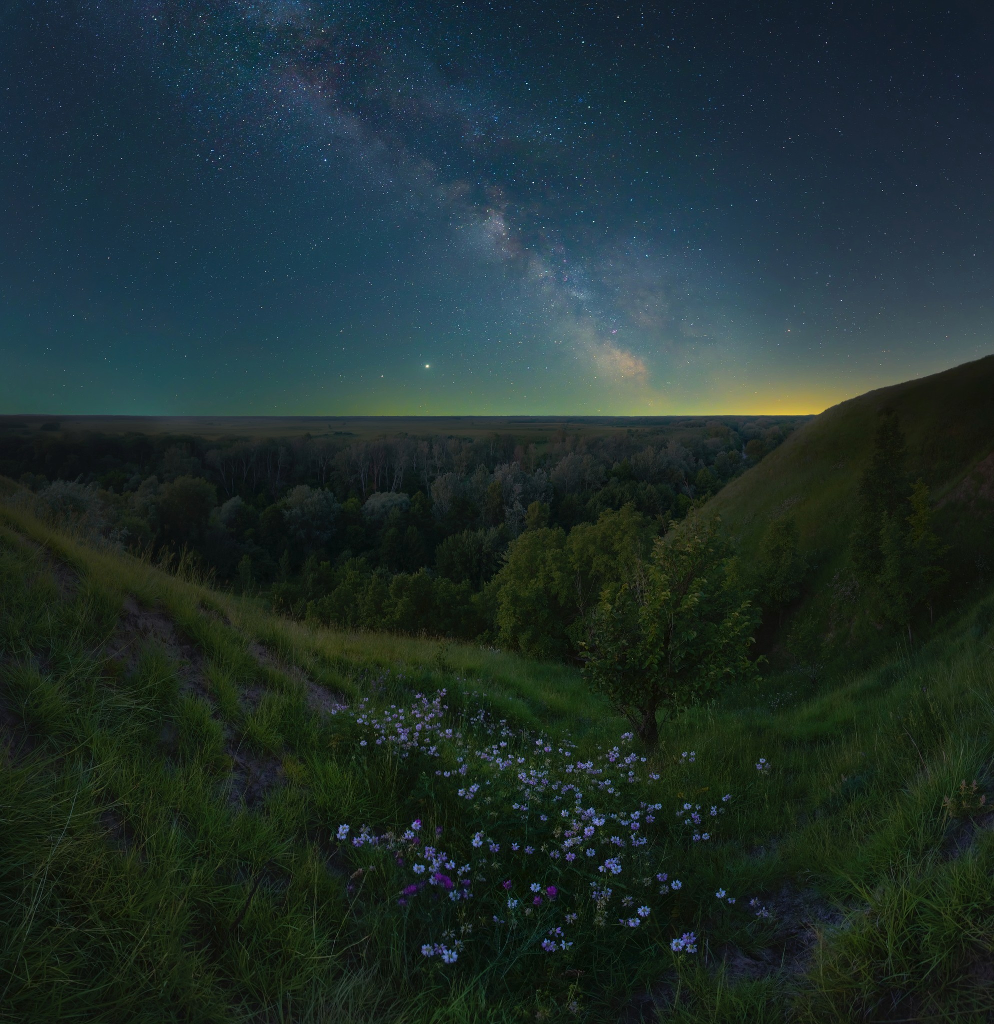 A grassy field with flowers and a tree and a forest in the background on a starry night