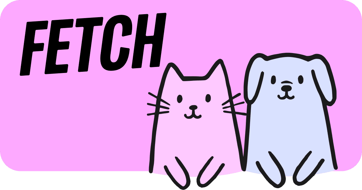 Sentence About Fetch