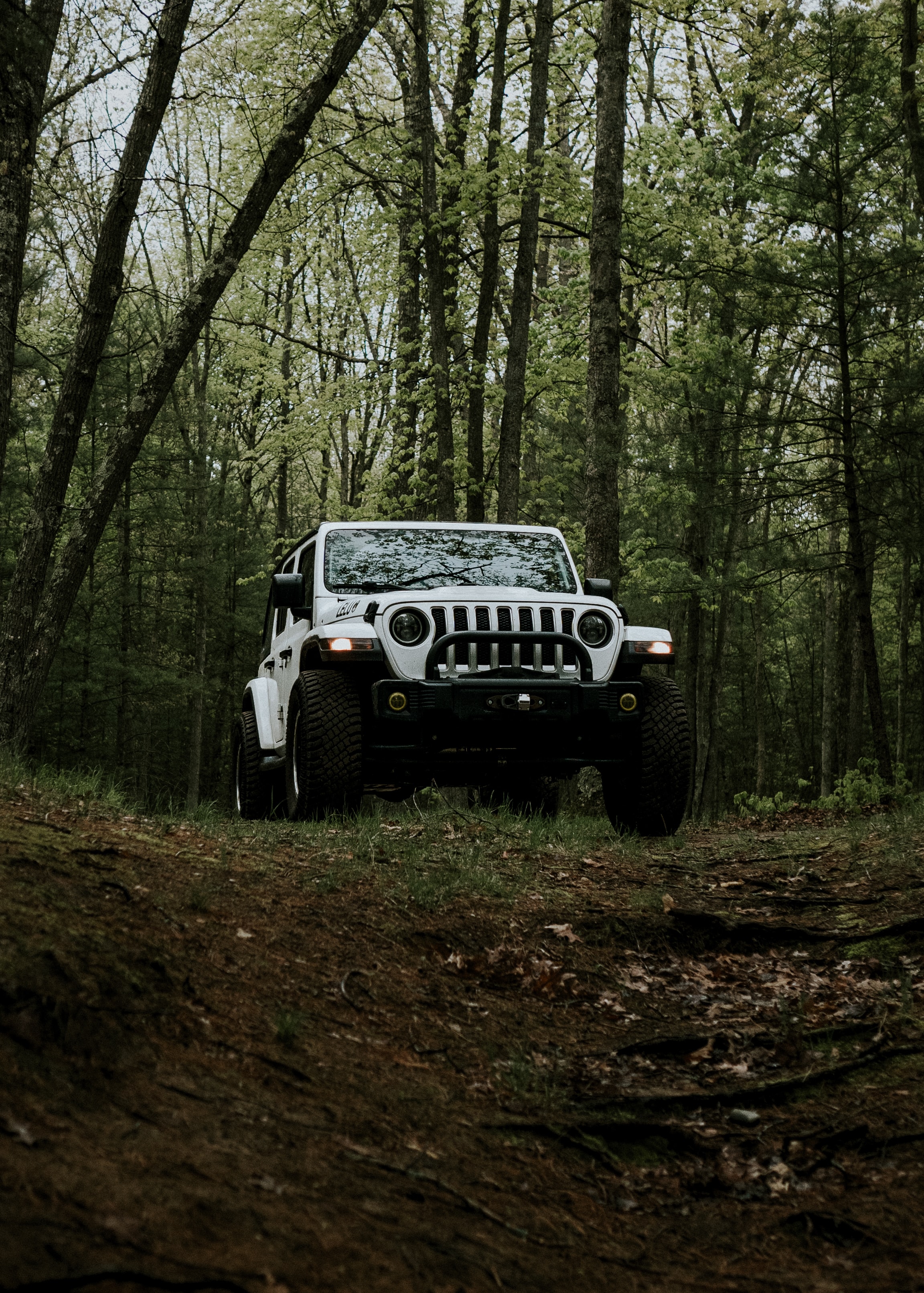 Jeep riding in the woods