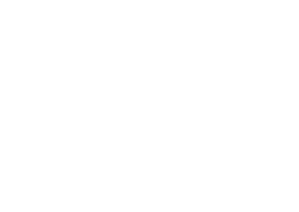 Nitan logotype in white