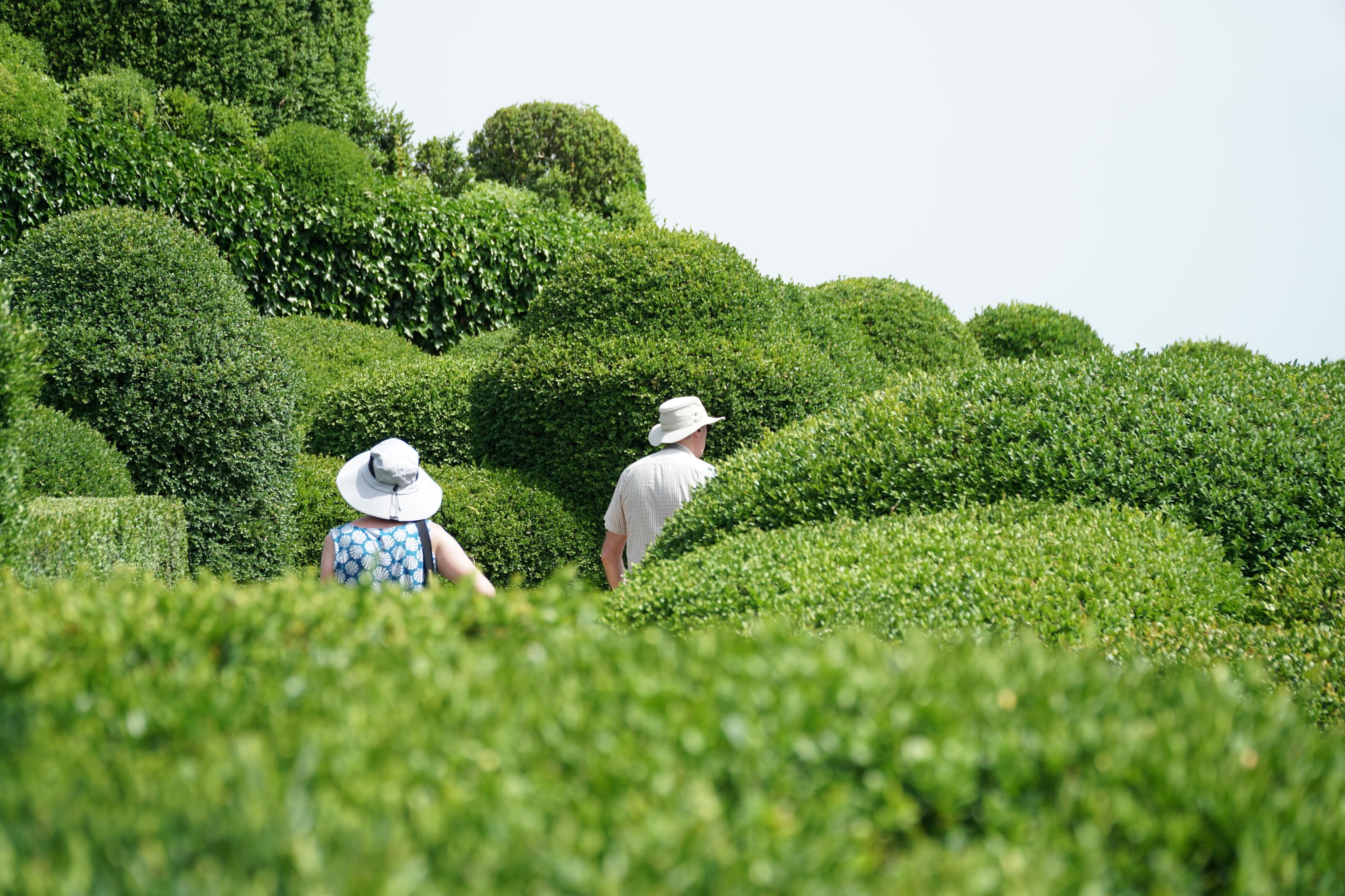 People exploring the gardens