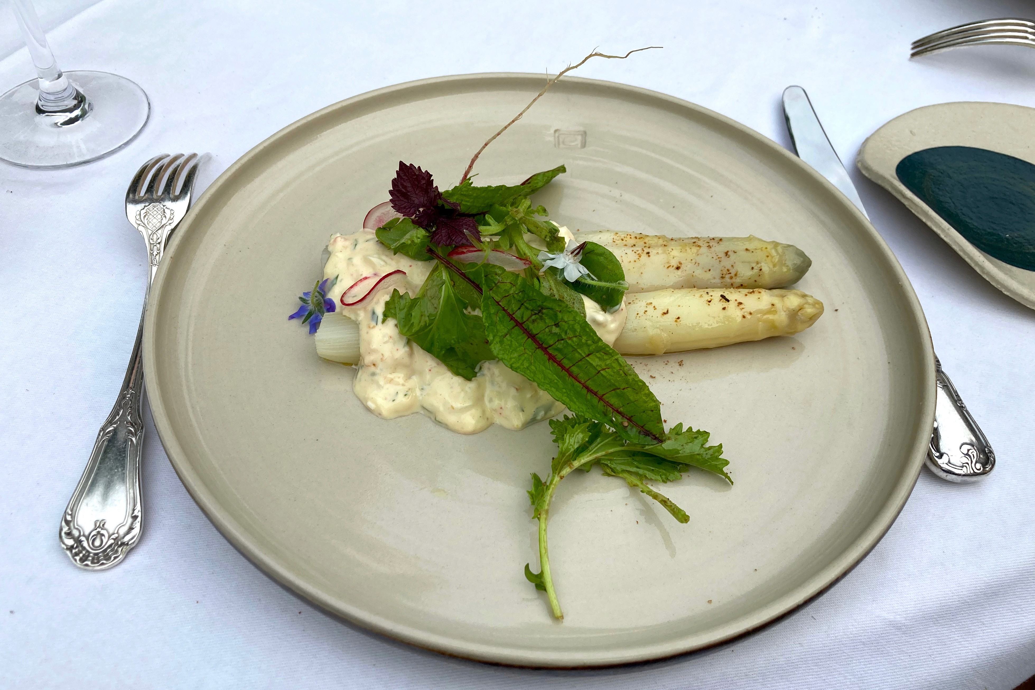 The starter of white asparagus