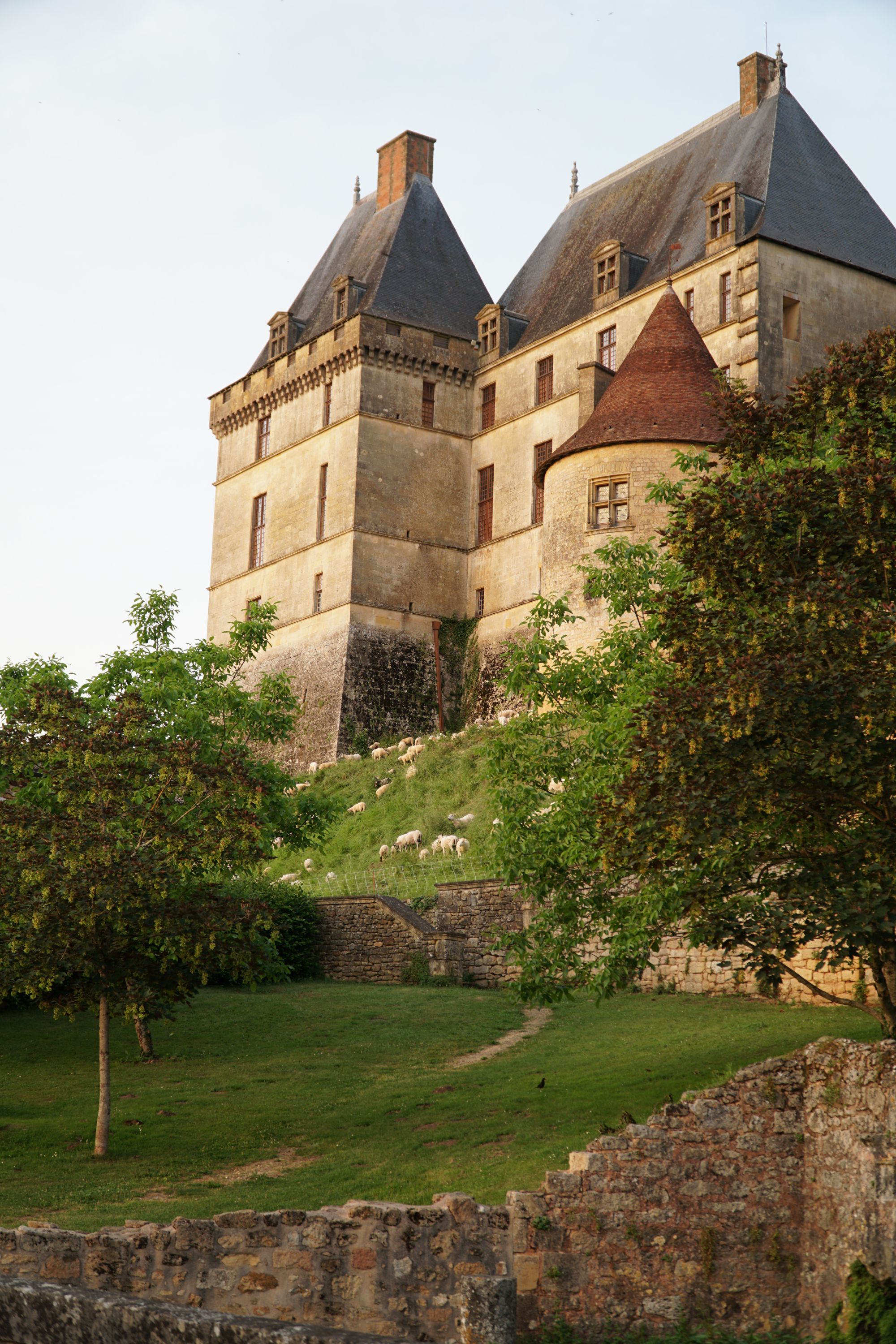 The chateaux in Biron