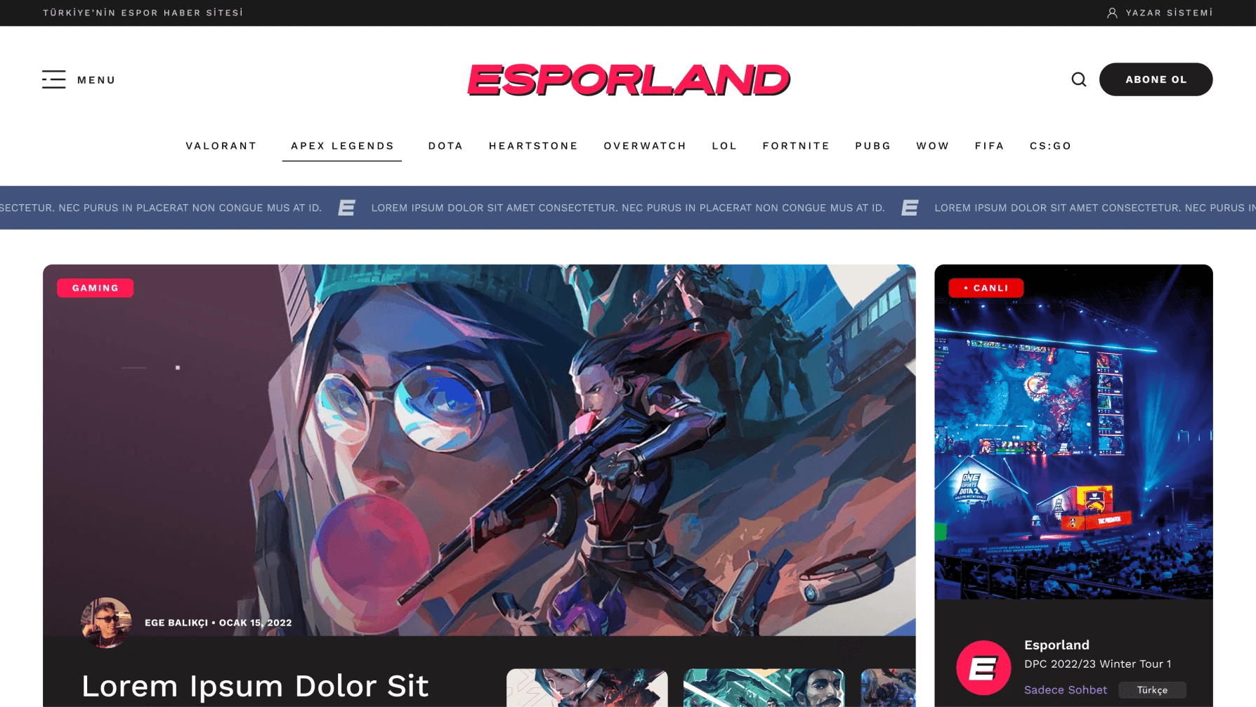 Homepage hero section of Esporland's website