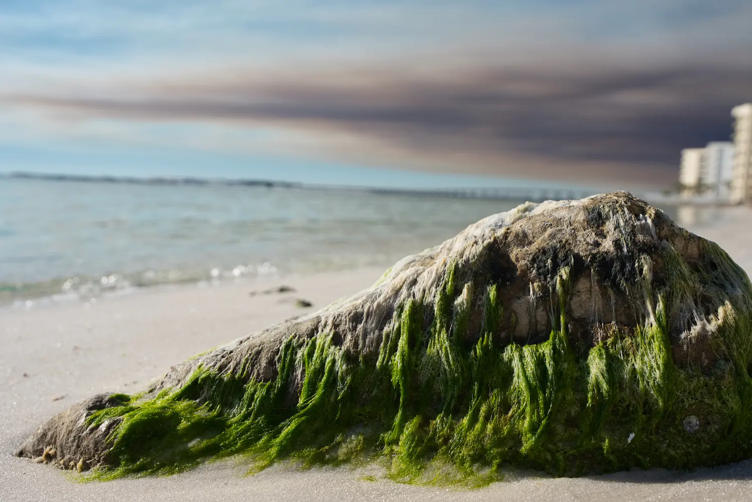 destin fl pass in background of perspective shot from beach taken by professional photographer