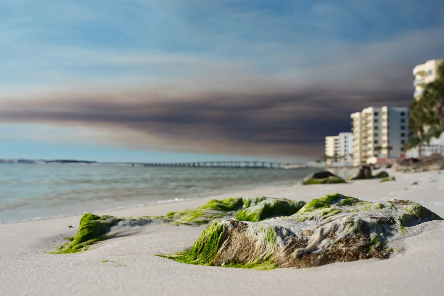 destin bridge over the water of destin pass taken by professional photographer