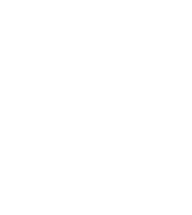 AppRoarr Javascript Development