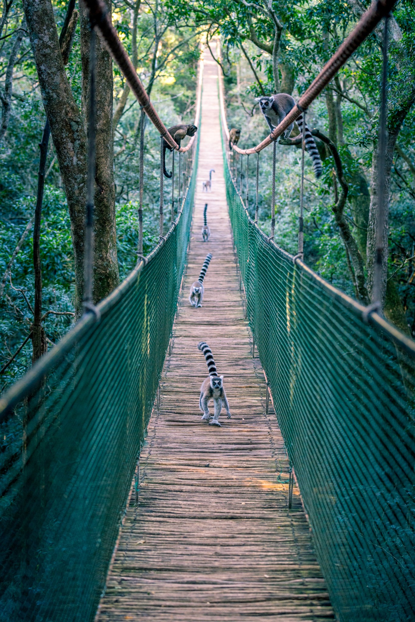 image of a woman on a trail