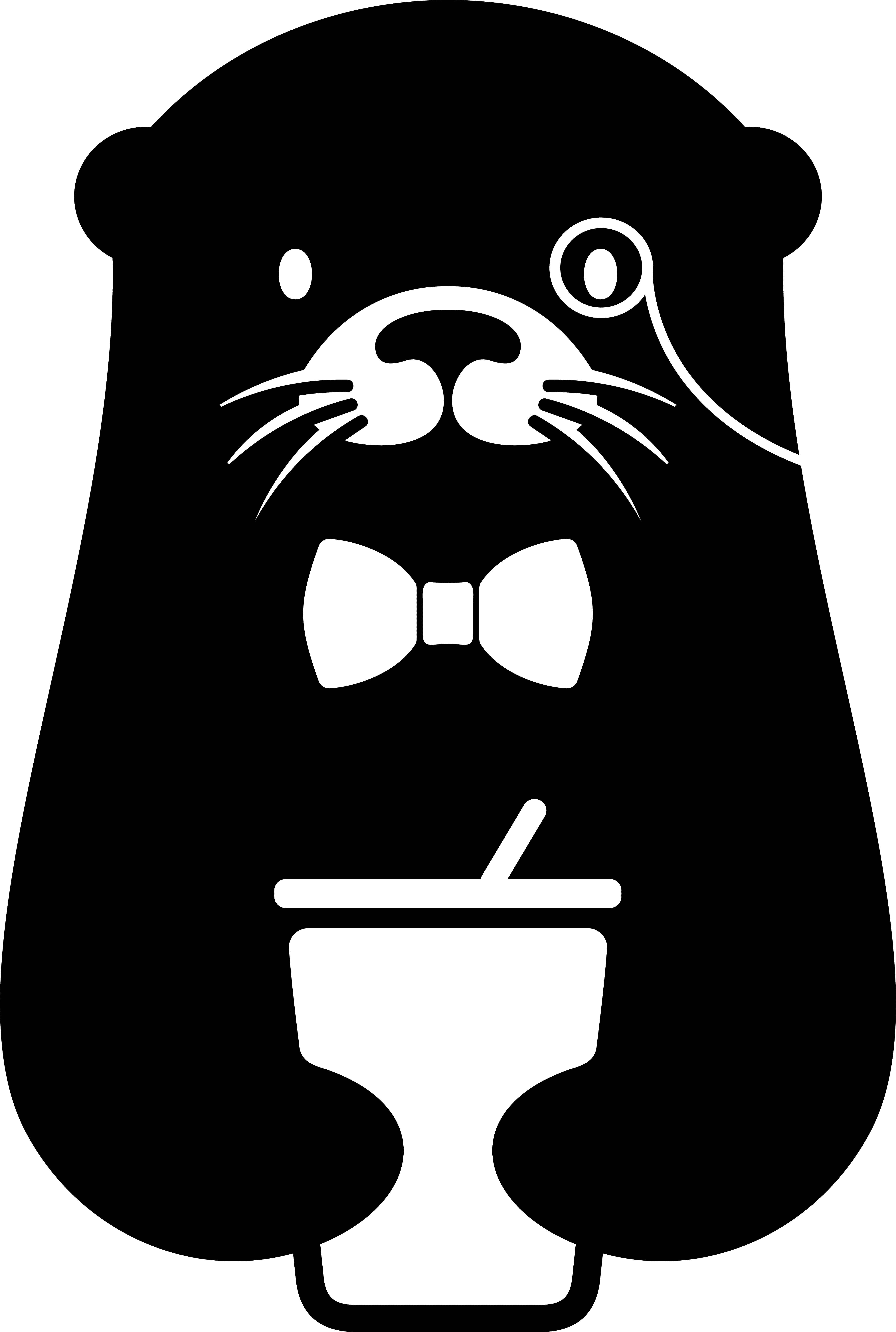 Mr.Otter logo