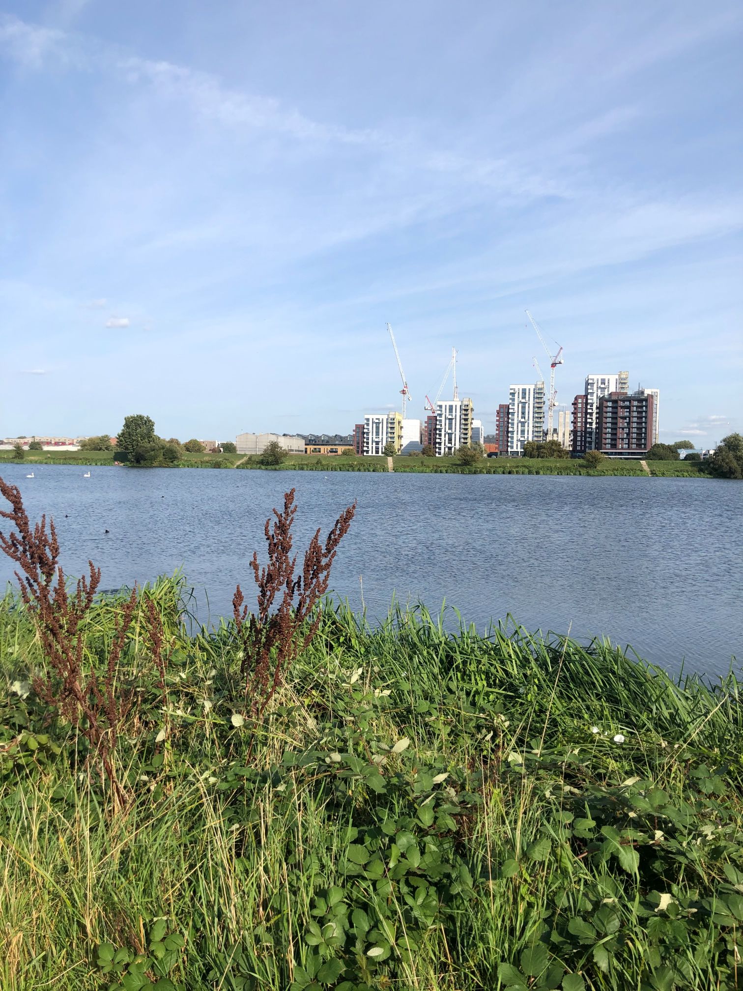 The view over Walthamstow wetlands