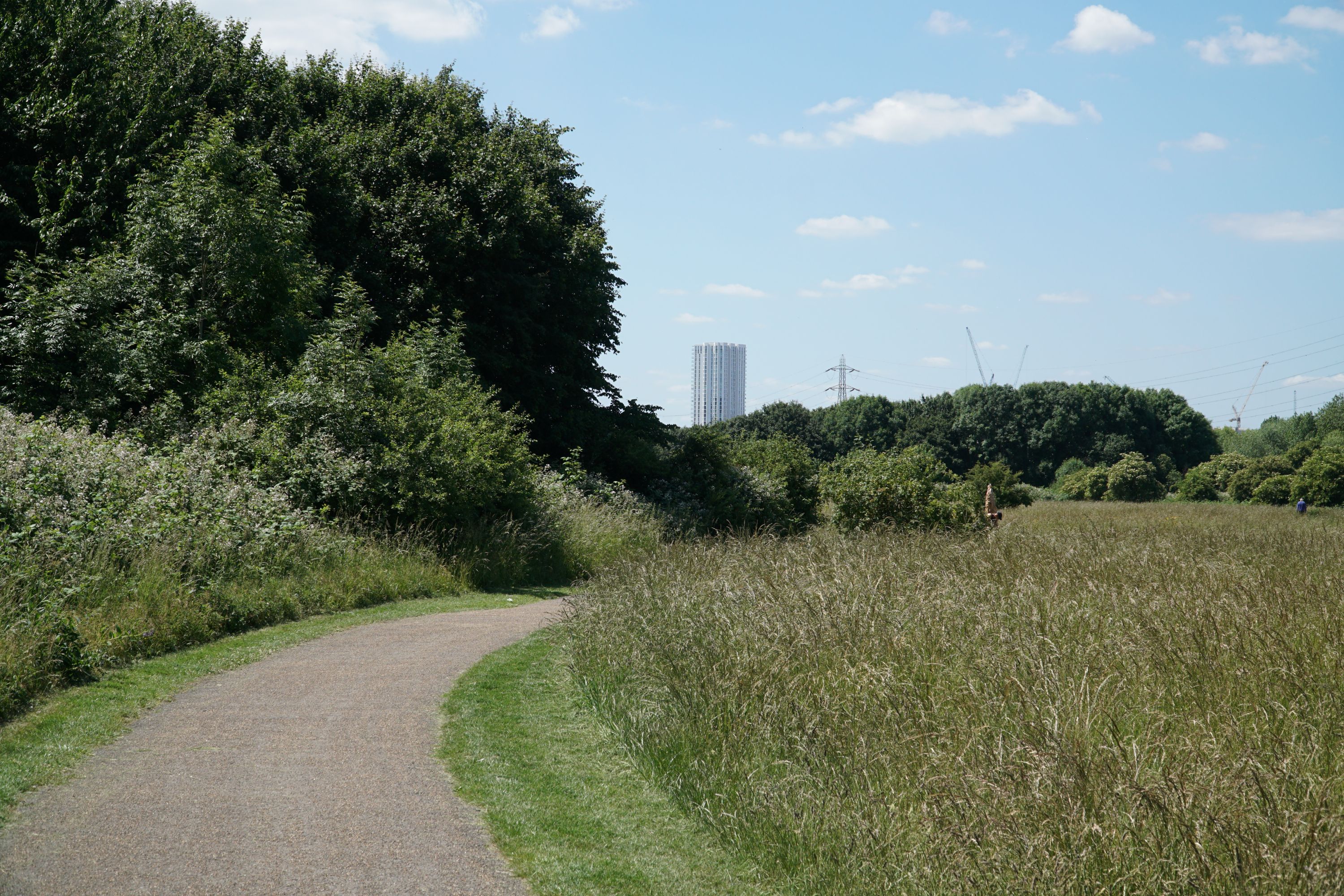 Site visit to Walthamstow marshes